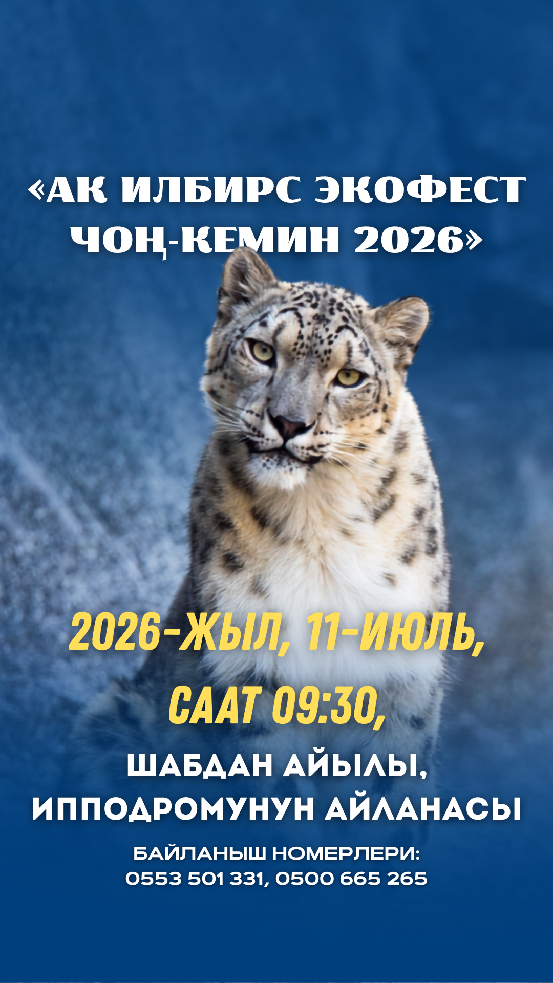 В Чон-Кемине состоится «Снежный Барс ЭкоФест Чон-Кемин 2026»