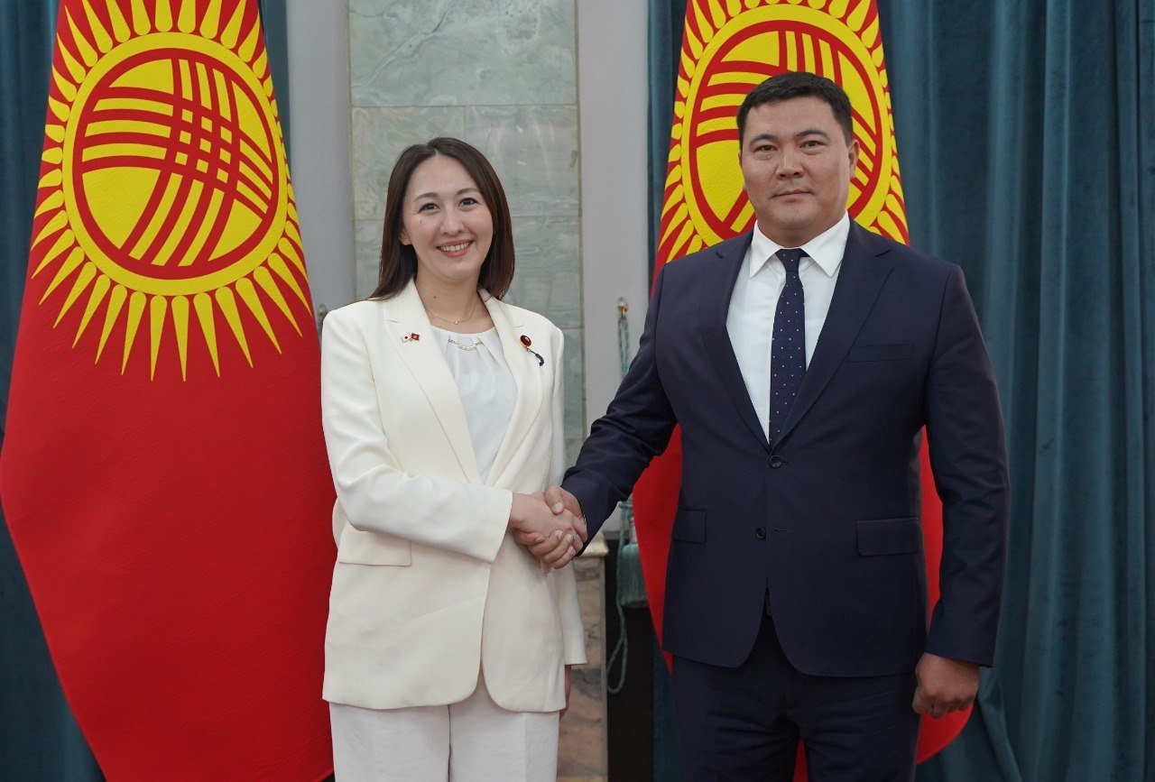 Кыргызстан менен Япония жаратылыш ресурстары жана айлана-чөйрөнү коргоо жаатындагы кызматташуунун келечектүү багыттарын талкуулашты
