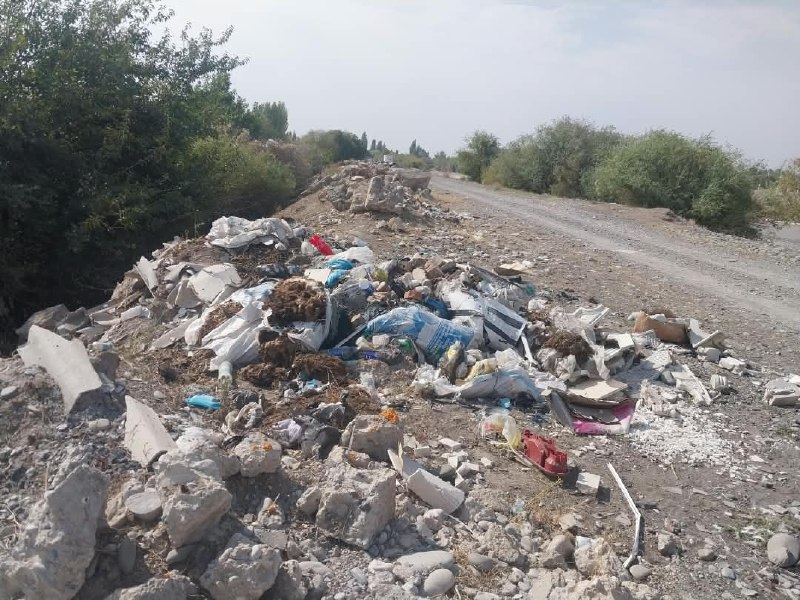 Барпы айыл өкмөтүндө бир катар экологиялык талаптардын бузулушу аныкталды