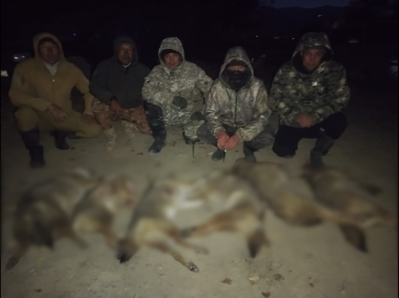 Таласта карышкыр жана чөөлөрдүн санын жөнгө салуу максатында иш чара өткөрүлдү.