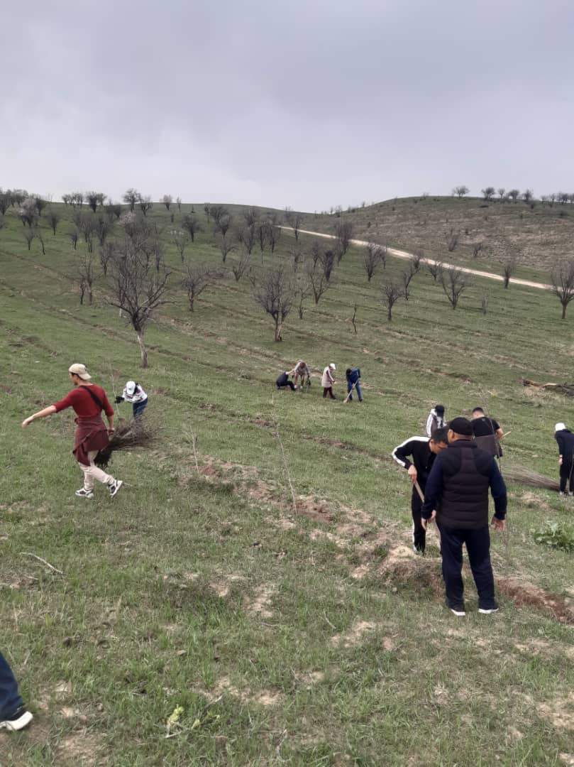 Минприроды приняло участие в посадке саженцев в районе Флагштока (гора Боз-Болток)