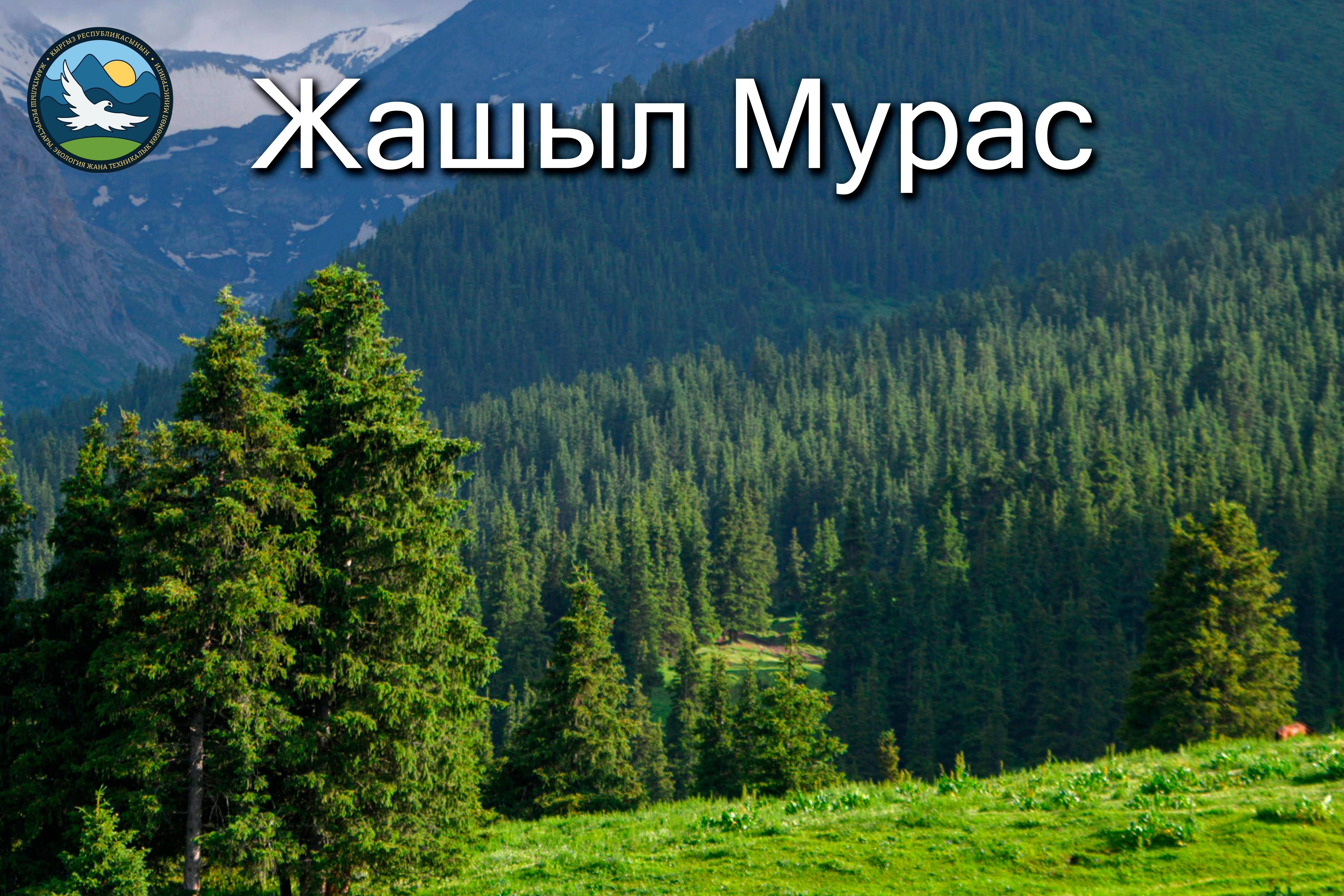 Минприроды открыл специальный счет для реализации национальной кампании "Жашыл Мурас"